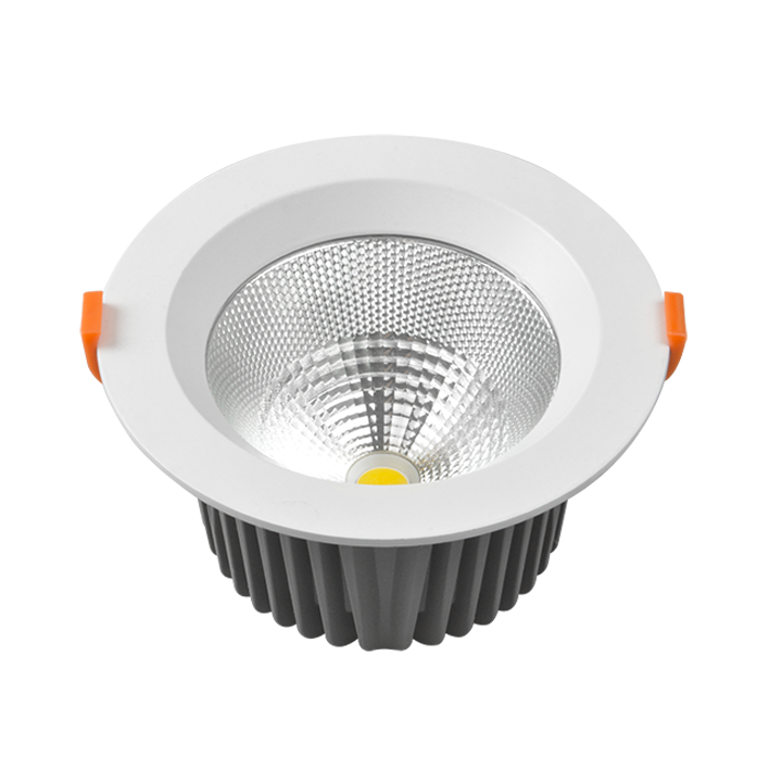25W LED Punch Downlight