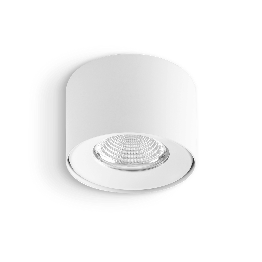 Surface LED Downlight