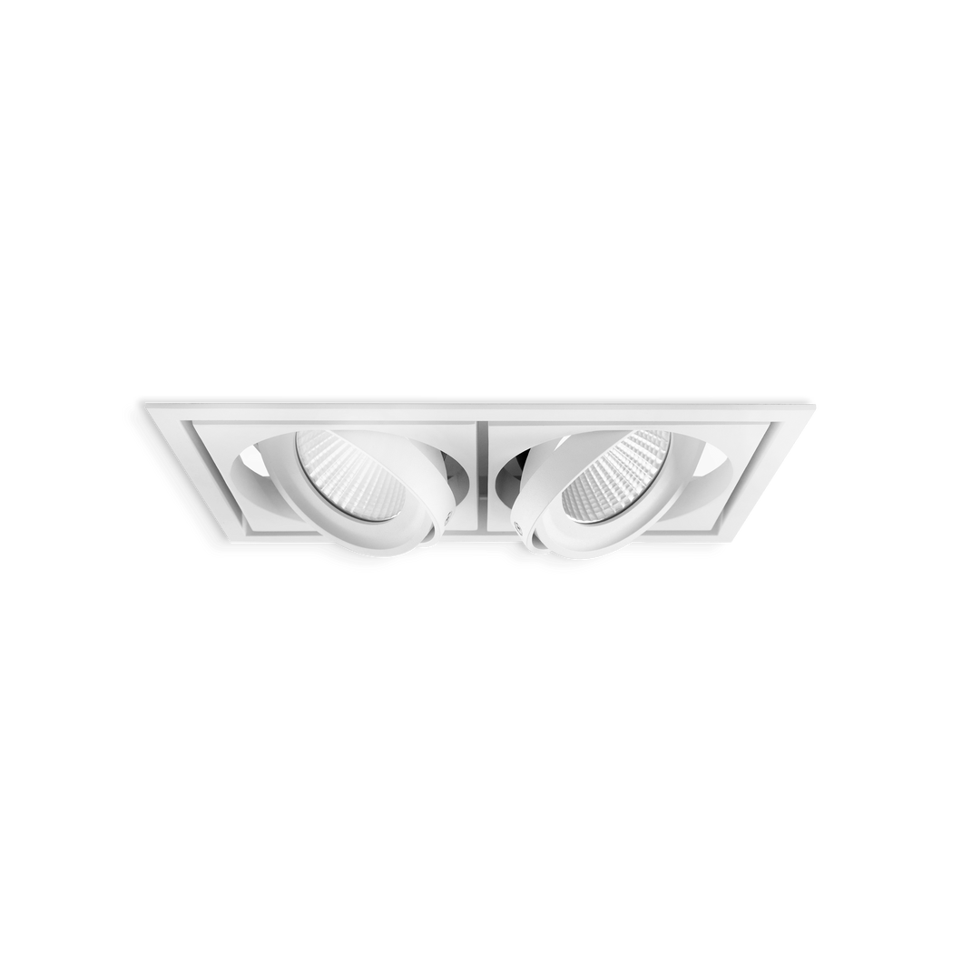 Gimbal LED Downlight