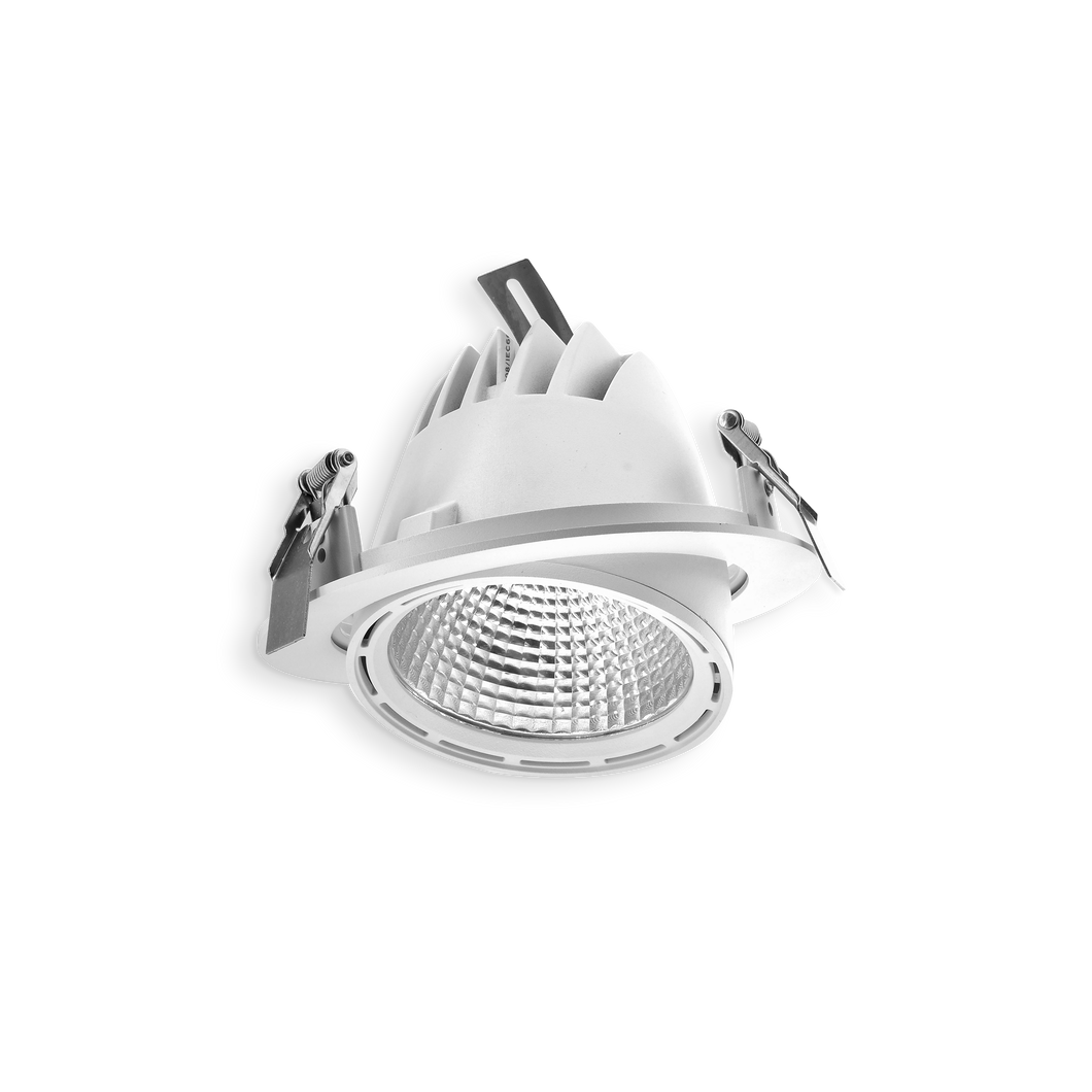 Scoop LED Downlight