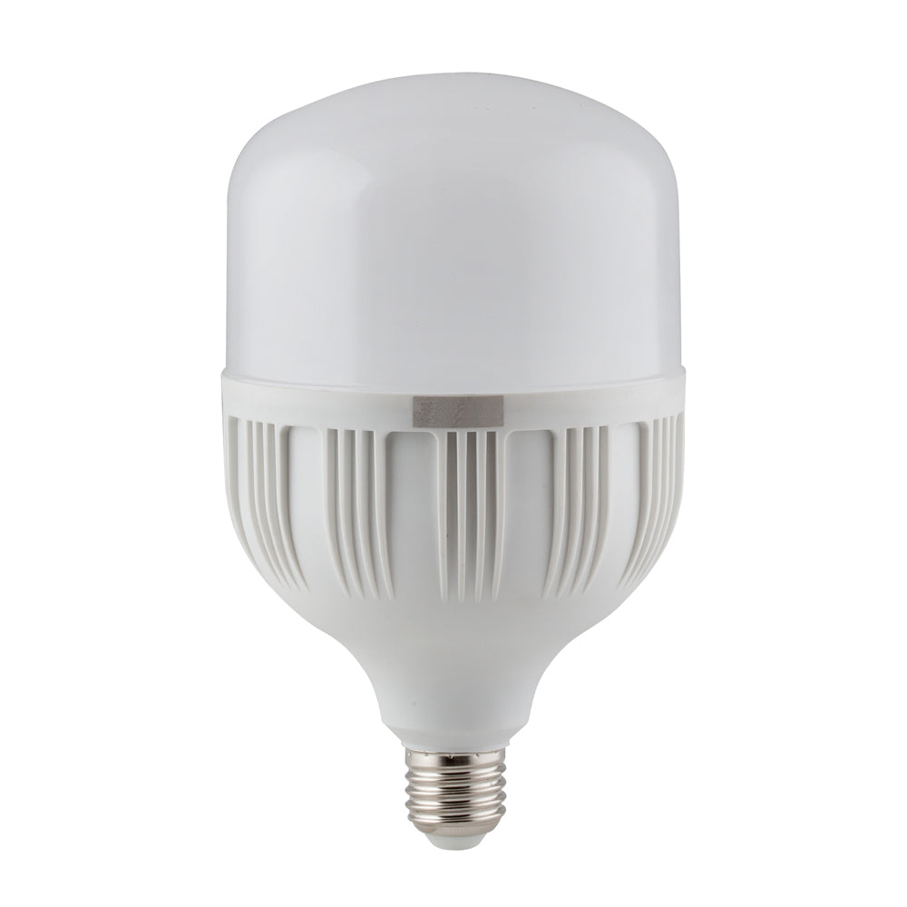 40W LED T-Lamp